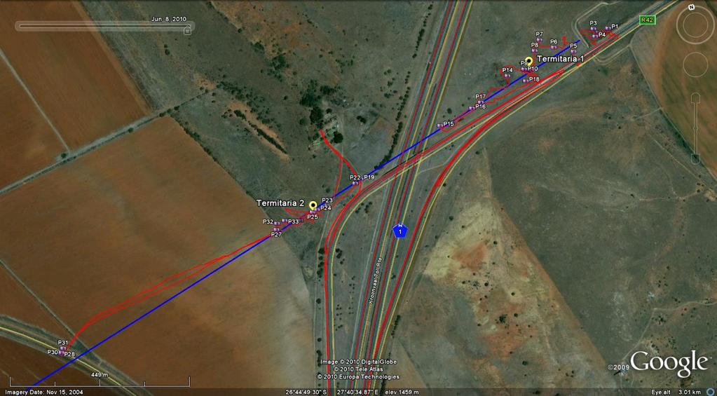 Figure 1. Remote sensing image (courtesy Google Corporation) showing the proposed sewer pipeline (Blue).