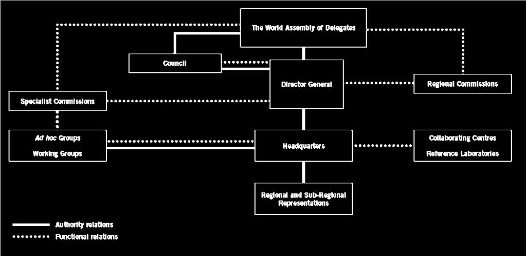 GOVERNANCE STRUCTURE OF