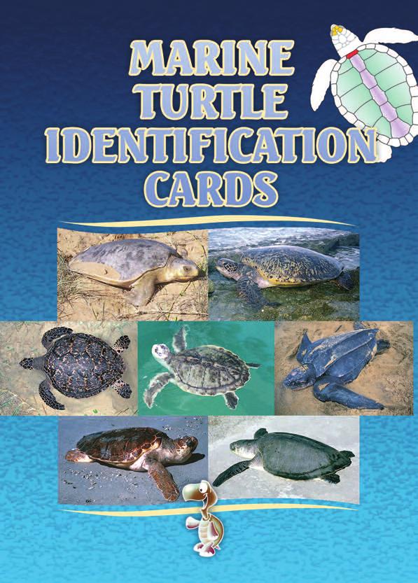 These turtle identification cards are produced as part of a series of awareness materials developed by the Coastal Fisheries Programme of the Secretariat of the Pacific