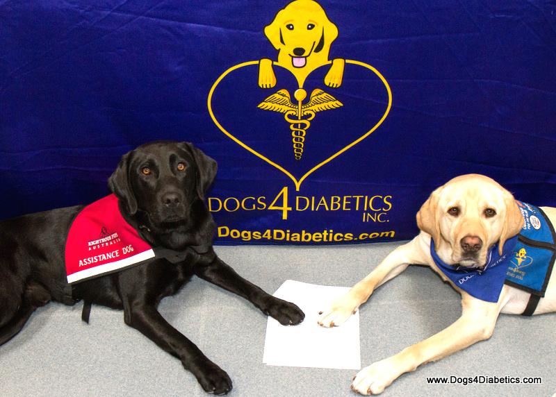 D4D and Righteous Pups of Australia are working together because both programs are highly respected for the quality of their training programs and their commitment to a lifetime of support