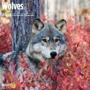 Wolves ISBN