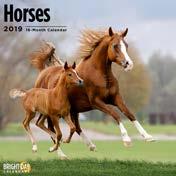 Horses ISBN