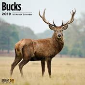 Bucks ISBN