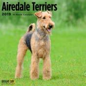 Airedale Terriers ISBN