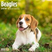Beagles ISBN