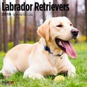 Labrador Retrievers ISBN