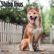 Shiba Inus ISBN