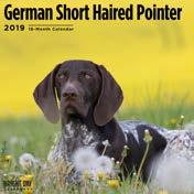 German Short Haired Pointer