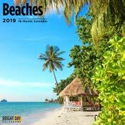 Beaches ISBN