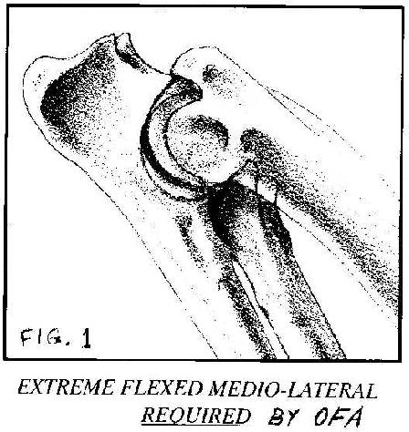 Another Look at Elbows by Fred Lanting Preface: In the Second Quarter 2000, the SENNtinel, official publication of the Greater Swiss Mountain Dog Club of America, carried a reprint on Elbow Dysplasia