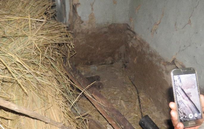 1 Village in eastern outskirt of Kathmandu valley Three leopard cubs were found in an abandoned house in Bageswori of Bhaktapur.