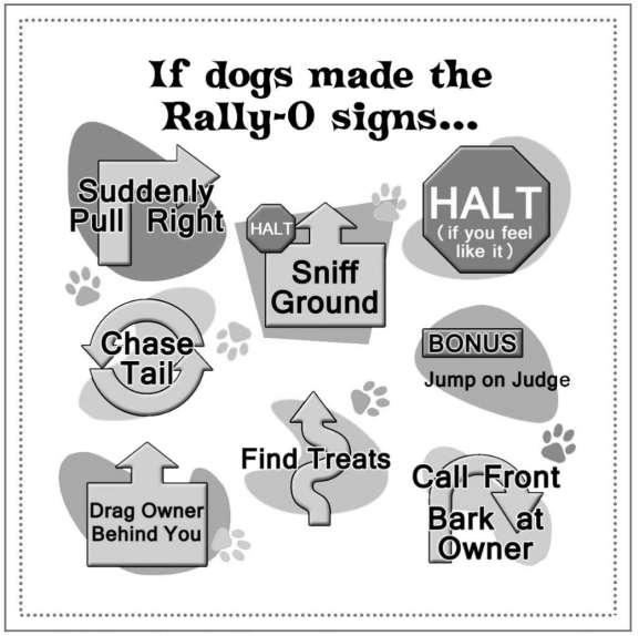 Afternoon Trial Rally-O RALLY NOVICE Judge: Mr Ross Carlson Catalogue # Owner Dog Breed D/B 34. Gayle Baxter Basileus Thunda Bolt Papillon Dog 35. J Fry Barnyard AD JD SD SPD Associate Dog 36.