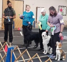 Annie Newsted and Dugger, Border Terrier, received the Achiever Dog Certificate in January. Leonore Abordo and Borzoi, El Sol, finished their RN in three trials with one third place in Kansas.