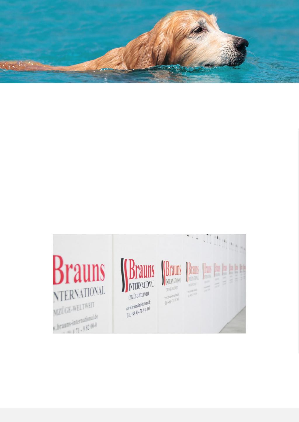 ABOUT BRAUNS INTERNATIONAL Brauns INTERNATIONAL are a global provider of removal and relocation services.