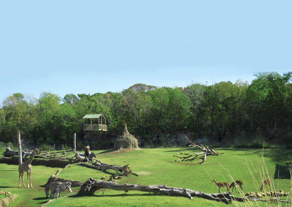 A PLACE WHERE YOU CAN EXPERIENCE THE WILD NEW GENERATION ZOOS New generation zoos, wild life parks and safari parks,
