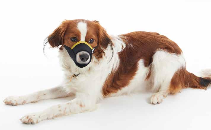 Selecting the right muzzle for your dog n Use a string to measure around your dog s nose at the position shown n Place your index finger under the string to ensure enough space for the dog to be