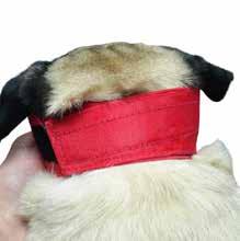 size 8 BUSTER Nylon Muzzle for Brachycephalic Breeds n Covers the eyes n Restrictive effect n Allows oral and probe treatments n Nylon material is X-ray