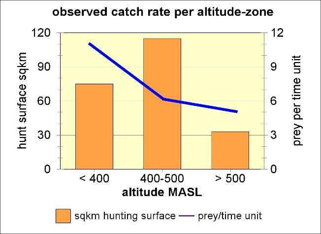 Hunting and altitude, former Olt floodplain below 400m ASL is most productive, highest zone may be important in period before chicks hatch when ranges from Făgăraş birds tend to be smaller.