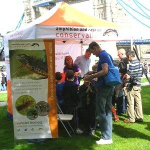 We hand out literature and advice and it provides a rare opportunity for people to see our native herps in the flesh.