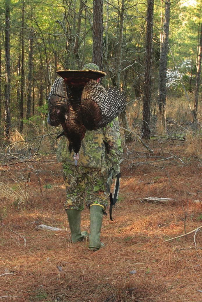 Join Our Spring Gobbler Hunting Survey Team Help MDWFP with the conservation & management of turkeys in Mississippi.