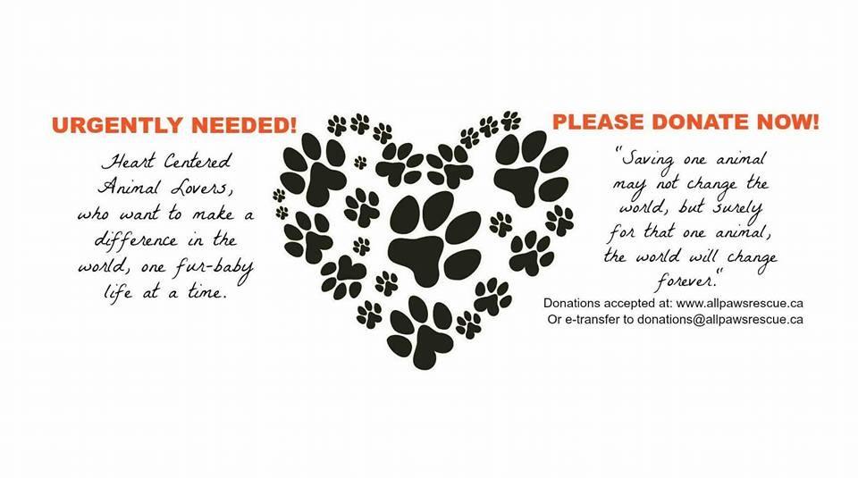 ALL PAWS RESCUE NEWSLETTER! SAVING ANIMALS, ONE LIFE AT A TIME AUGUST 2016 All Paws Rescue is a volunteer based animal rescue group serving primarily the Region of Peel, but ever expanding.