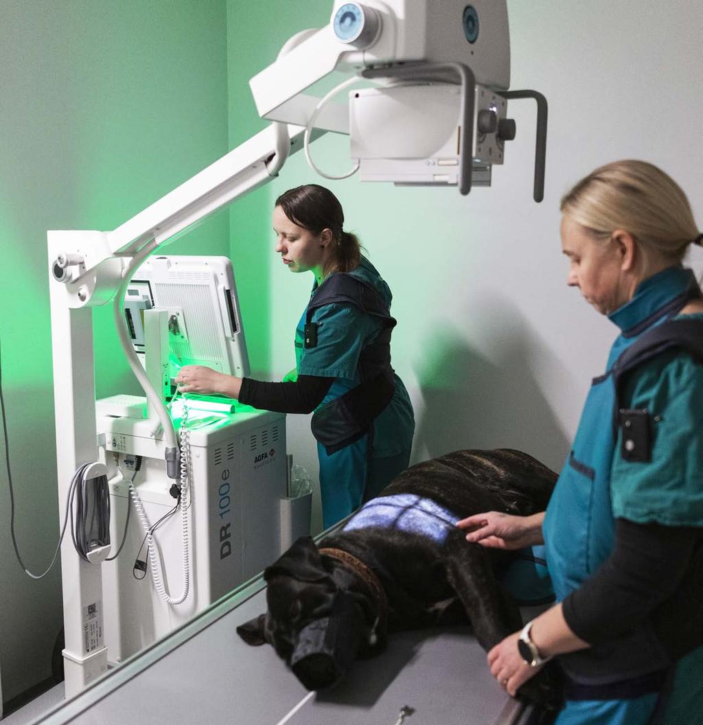 Dog s best friend For busy Finnish animal clinic, the mobile DR 100e with MUSICA 3 image processing provides exceptional