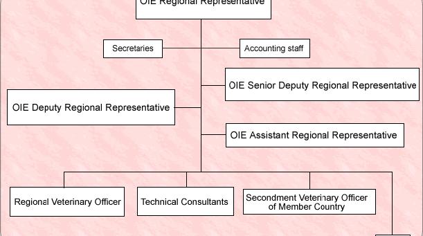 Organization chart of OIE Regional Representation for Asia and the Pacific Dr Itsuo Shimohira As of October