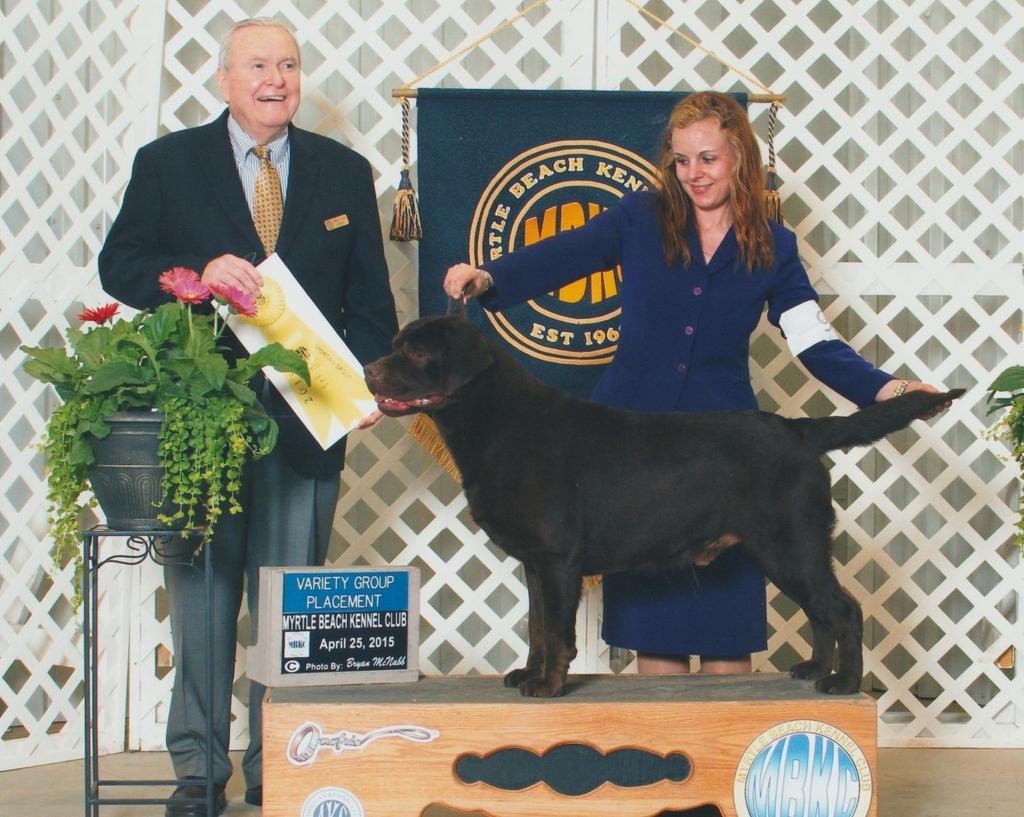 BRAGS BISS GCH Sheabourne's Grizzly Adams (MBISS GCH Paradocs Obsidian x MBISS CH Sheabourne's Precious Angel) Griz was