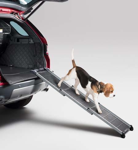 to hand - to transport your canine in comfort.