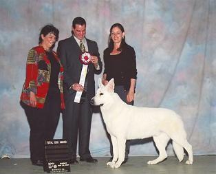 Rewy May 19, 2007 Dexter won the Total Dog award at the Carnation City Kennel Club show in Randolph, Ohio.