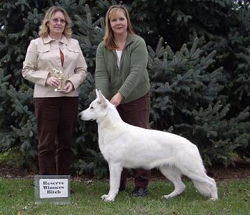 Pg. 39 In conformation, Venus quickly earned her UKC championship, and at the tender age of 21 months, Venus was awarded Reserve Best in Multi Breed show in LaPorte, Indiana under esteemed judge