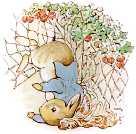 the gate. He lost one of his shoes among the cabbages, and the other shoe amongst the potatoes. 25 BUT Peter, who was very naughty, ran straight away to Mr.
