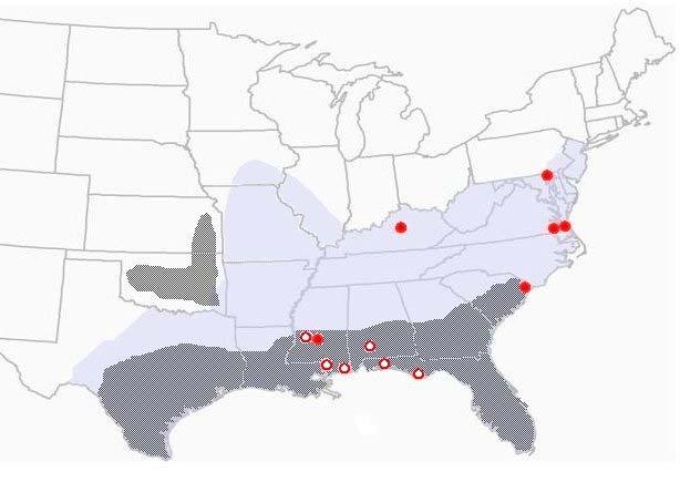 Geographic distribution of the Gulf Coast tick showing presumed and confirmed human cases of American boutonneuse fever (ABF).