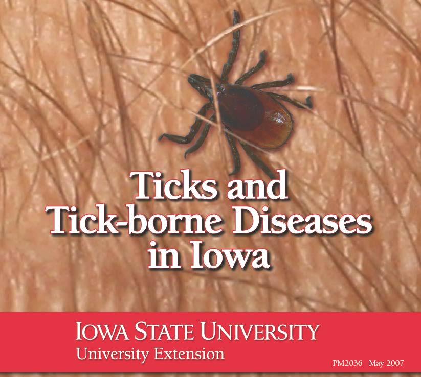 Risk Assessment in Iowa What species of ticks do we most frequently encounter in