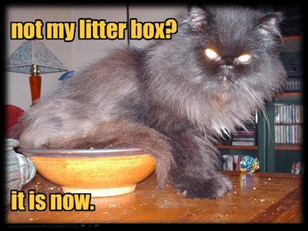 Litter box avoidance can be Urine, feces or both Avoidance related to pain Substrate