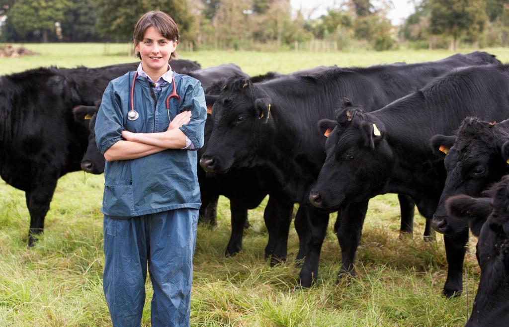 62% said Like doctors and their patients, veterinarians and their farmer clients share