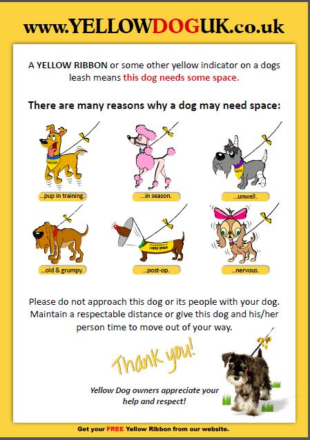 Does Your Dog Need A Yellow Ribbon?