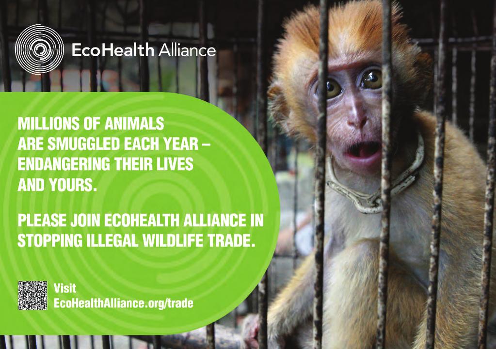 PROGRAM Updates In 2011, EcoHealth Alliance launched its first-ever advertisement and public awareness campaign surrounding the illegal wildlife trade.
