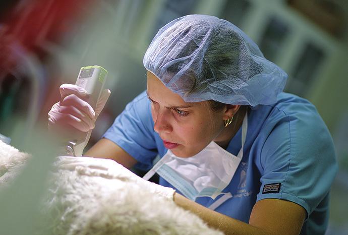inform the veterinary technician of their arrival 4 Immediately escort the patient and client to the examination room to minimize stress 4 Provide comfort by offering water or tissues, especially