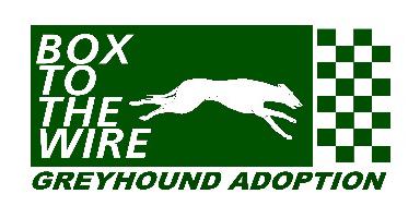 Box To The Wire Greyhound Adoption Inc. Daytona Beach, FL 386-401-WIRE (9473) Email: boxtothewire@gmail.com www.box2thewire.