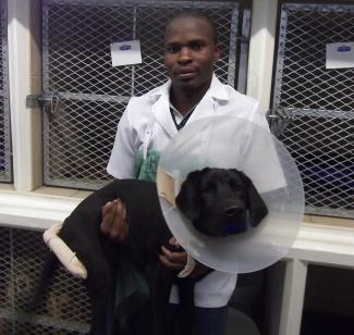 Hilton Free Veterinary Small Hospital Animal Veterinary Advice e-mail:martin@hiltonvethospital.co.za Staff Profile Brian Kushaya Brian joined our team in January 2013.