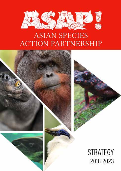 The strategic plan was developed with input on the appropriate direction and activities of ASAP from ASAP Partners and other stakeholders relevant to the conservation of ASAP species.