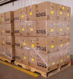 (above) Packaged eggs are put in boxes and moved into a refrigerated room (cooler) for storage until they are shipped by refrigerated trucks to stores.