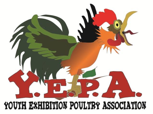 YOUTH EXHIBITION POULTRY ASSN. Y.E.P.A. www.youthexhibitionpoultry.org Facebook: https://www.facebook.