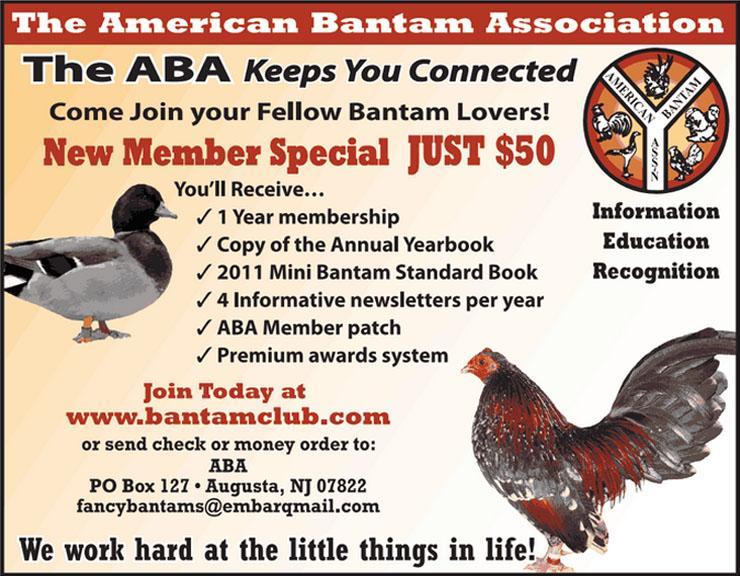 . The American Bantam Association is celebrating it s 100 years as we move forward into 2014. Yes 2014 will be our 100 th birthday and we are happy to be able to share lots of good things with you.