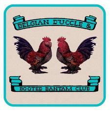 Belgian d'uccle and Booted Bantam Club SPECIAL MEET Send dues to: Michelle Sepiol, 171 Caitlin Hollow Road Wellsboro, PA 16901-8457 Dues: