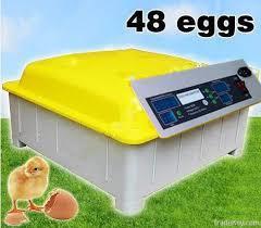 One of the biggest factors when choosing an incubator is the number of eggs you intend to hatch.