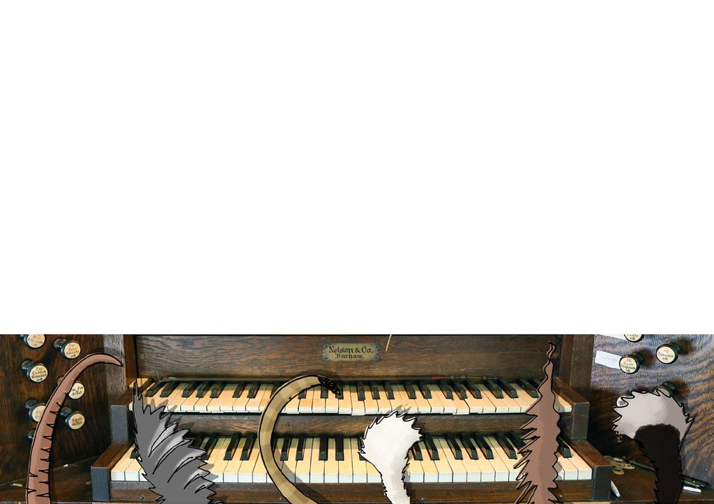 The organist flopped onto the keyboard, utterly exhausted. Then SILENCE, with only the vicar gently snoring, Rrrrhoh whooooooo rrrrhoh whooooooo! Suddenly, someone shouted, Cats! We need cats!