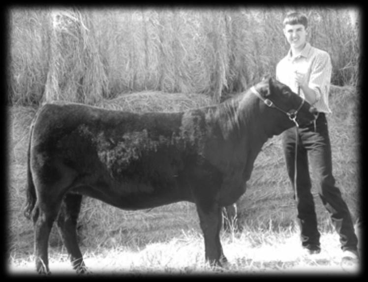 0 WW 45 YW 83 MWW 45 Milk 22 Dam s Prod: BW 2@75 lbs WW 2@101 * A well balanced bull that has a pedigree stacked with maternal genetics.