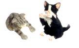 Gray A3786 Playing Kittens Pair -